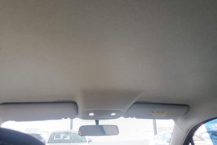 Used Leapmotor T03 2024 200 Lite Edition Headliner