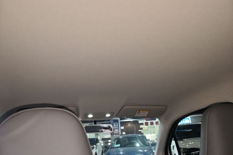 Used Leapmotor T03 2024 310 Comfort Edition Headliner