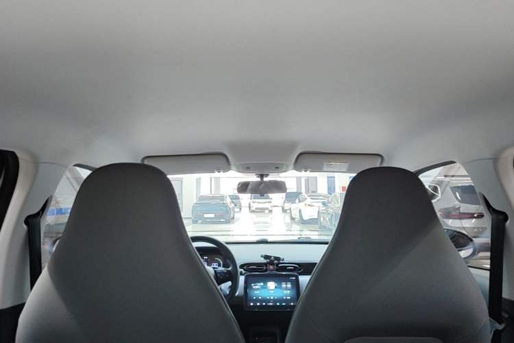 Used Leapmotor T03 2024 403 Comfort Edition Headliner