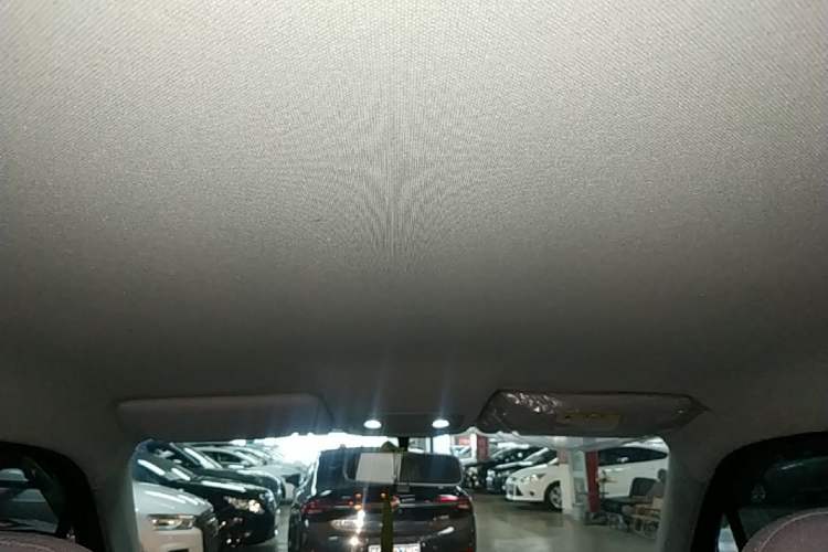 Used Leapmotor T03 2024 200 Lite Edition Headliner