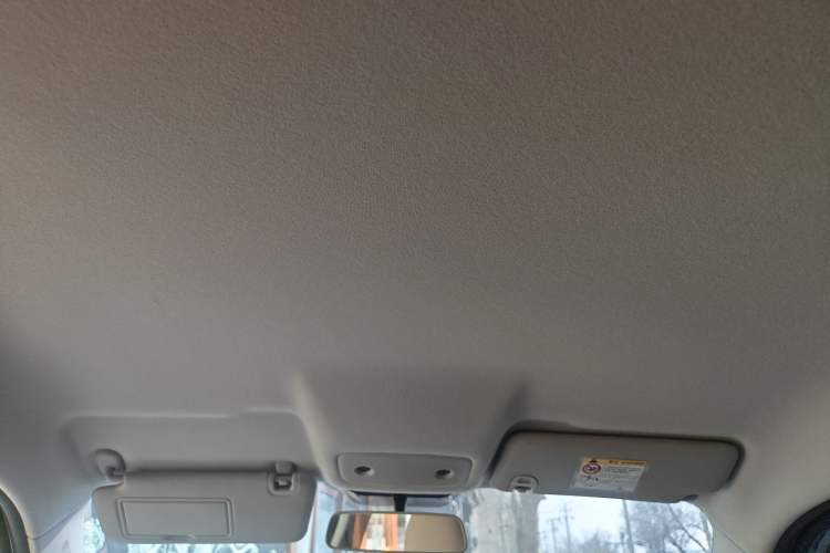 Used Leapmotor T03 2024 310 Comfort Edition Headliner