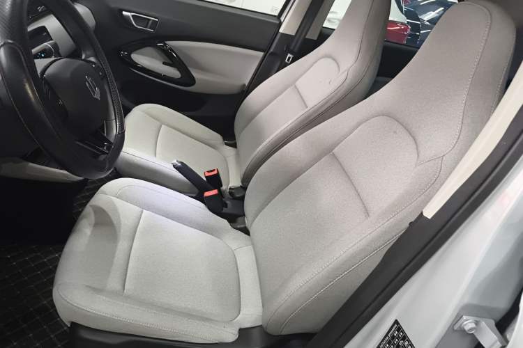 Used Leapmotor T03 2024 200 Lite Edition Left Front Seat