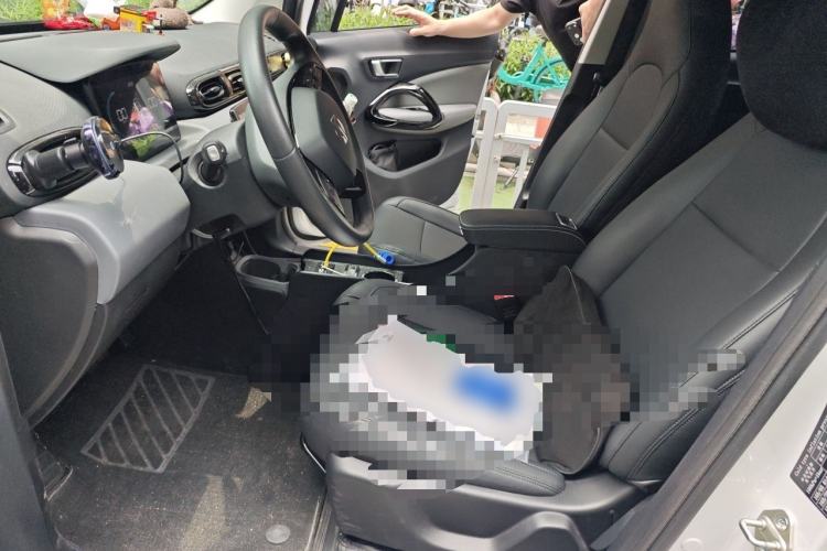 Used Leapmotor T03 2024 310 Comfort Edition Left Front Seat