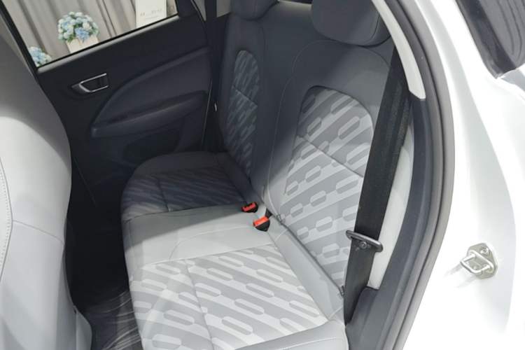 Used Leapmotor T03 2024 403 Comfort Edition Left Rear Seat