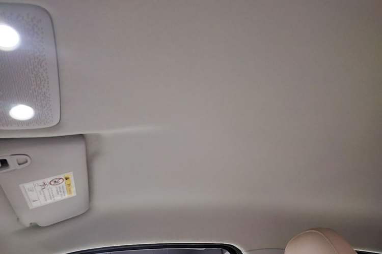Used Leapmotor T03 2024 403 Comfort Edition Headliner