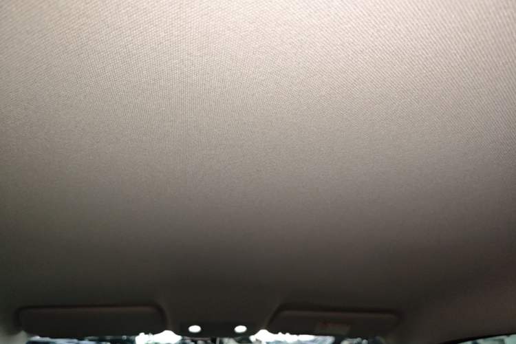 Used Leapmotor T03 2024 310 Comfort Edition Headliner