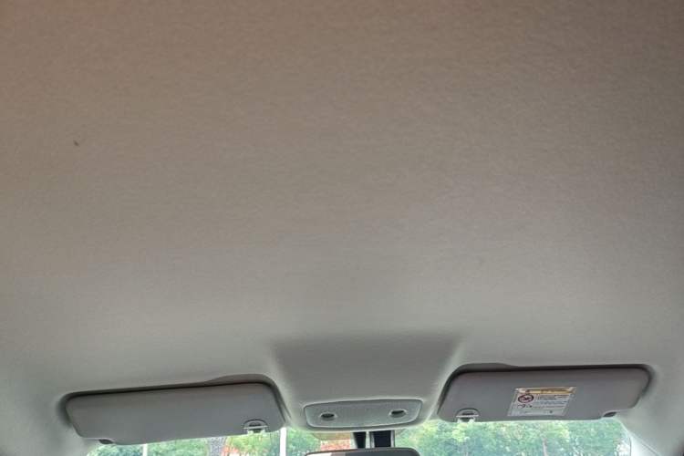 Used Leapmotor T03 2024 310 Comfort Edition Headliner