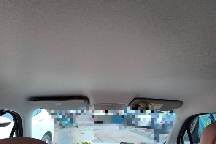 Used Leapmotor T03 2024 310 Comfort Edition Headliner