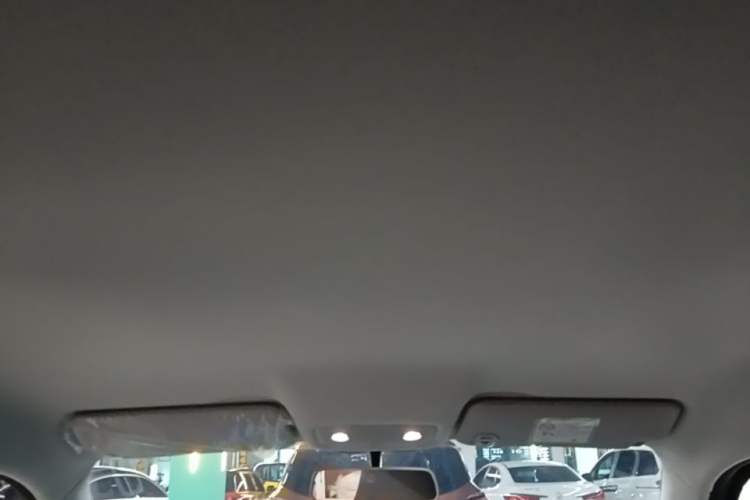 Used Leapmotor T03 2024 310 Comfort Edition Headliner