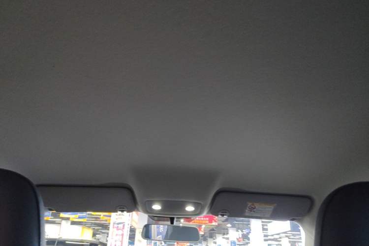 Used Leapmotor T03 2024 403 Comfort Edition Headliner