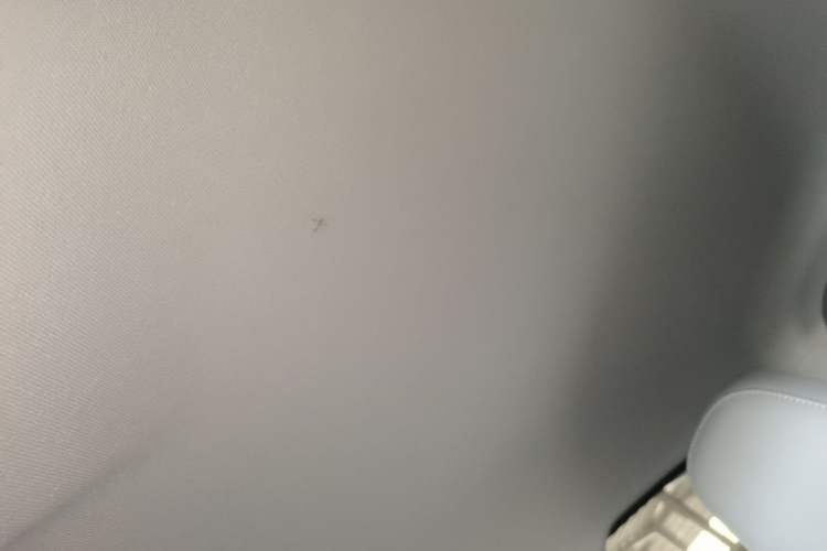 Used Leapmotor T03 2024 310 Comfort Edition Headliner