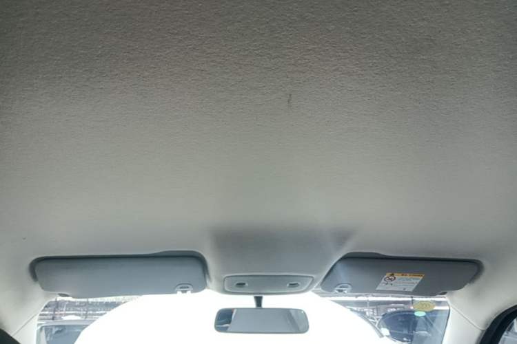 Used Leapmotor T03 2024 310 Comfort Edition Headliner
