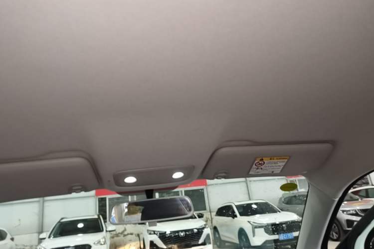 Used Leapmotor T03 2024 403 Comfort Edition Headliner