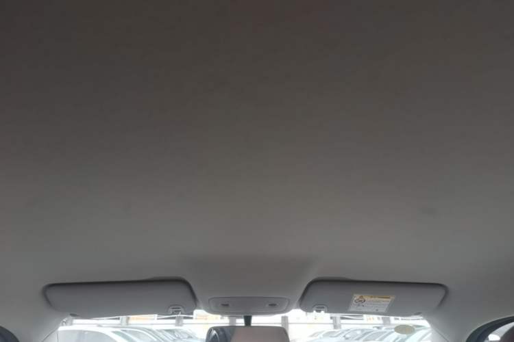 Used Leapmotor T03 2024 403 Comfort Edition Headliner