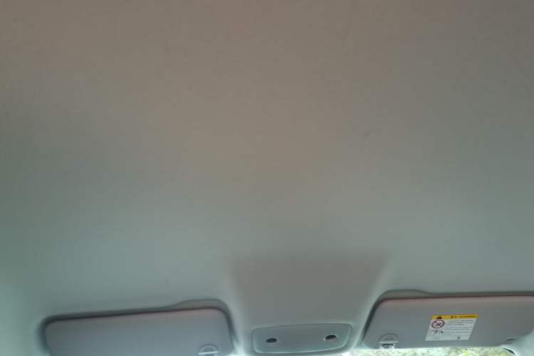 Used Leapmotor T03 2024 310 Comfort Edition Headliner