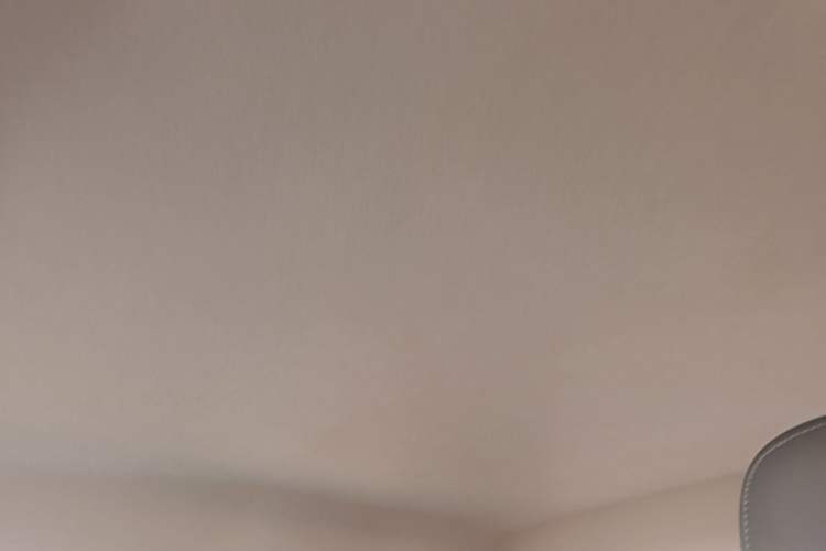 Used Leapmotor T03 2024 403 Comfort Edition Headliner