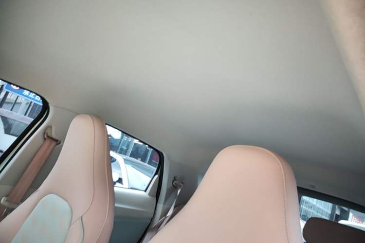 Used Leapmotor T03 2024 403 Comfort Edition Headliner