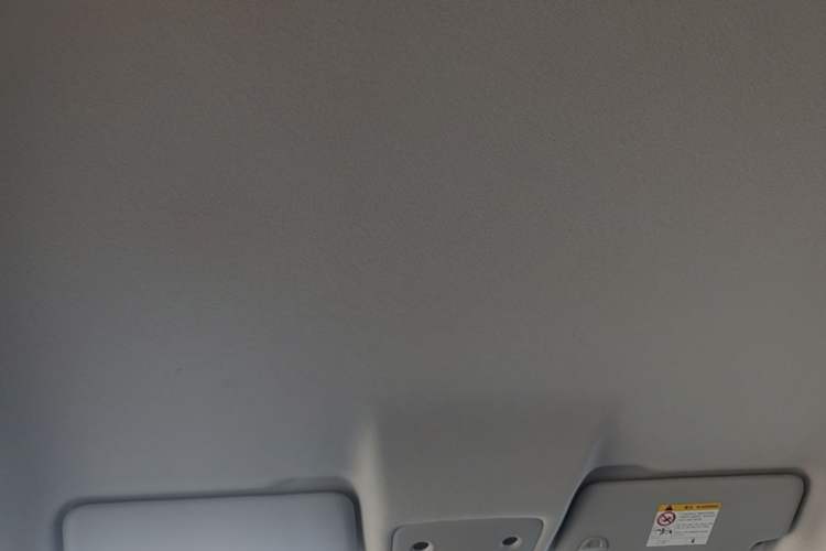 Used Leapmotor T03 2024 403 Comfort Edition Headliner