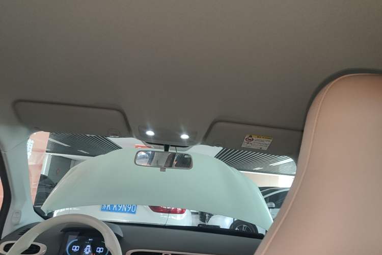 Used Leapmotor T03 2024 310 Comfort Edition Headliner