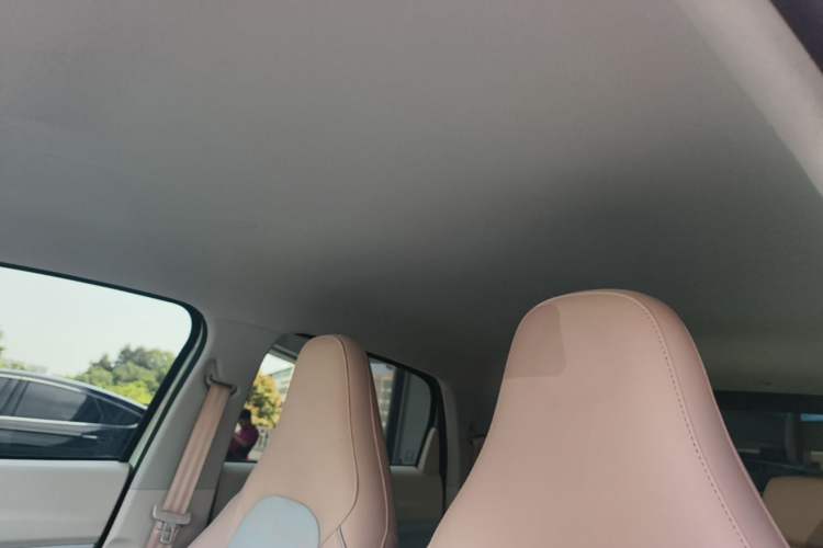 Used Leapmotor T03 2024 310 Comfort Edition Headliner