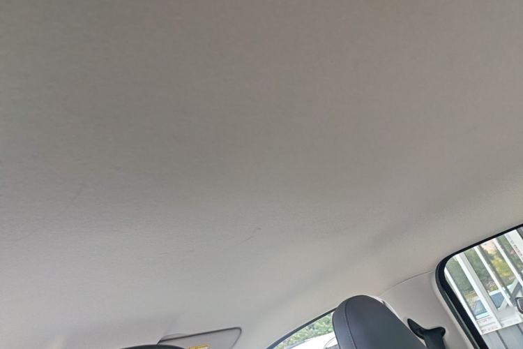 Used Leapmotor T03 2024 403 Comfort Edition Headliner