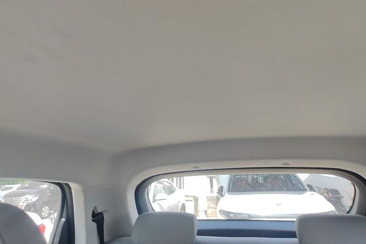 Used Leapmotor T03 2024 403 Comfort Edition Headliner