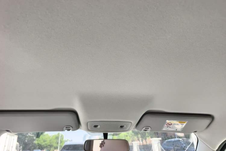 Used Leapmotor T03 2024 200 Lite Edition Headliner