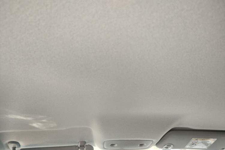 Used Leapmotor T03 2024 200 Lite Edition Headliner
