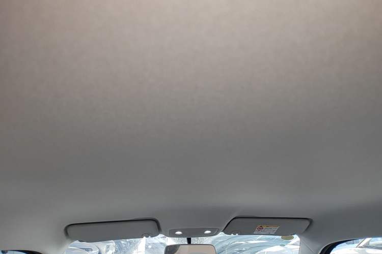 Used Leapmotor T03 2024 403 Comfort Edition Headliner