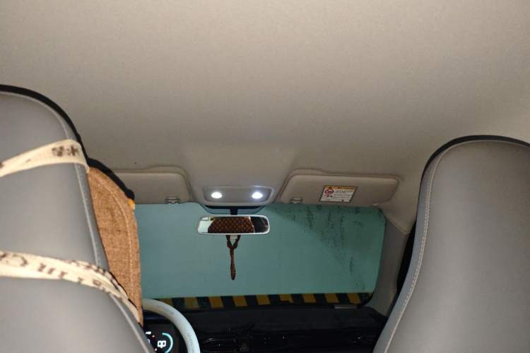 Used Leapmotor T03 2024 403 Comfort Edition Headliner