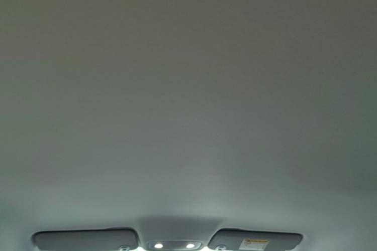 Used Leapmotor T03 2024 403 Comfort Edition Headliner