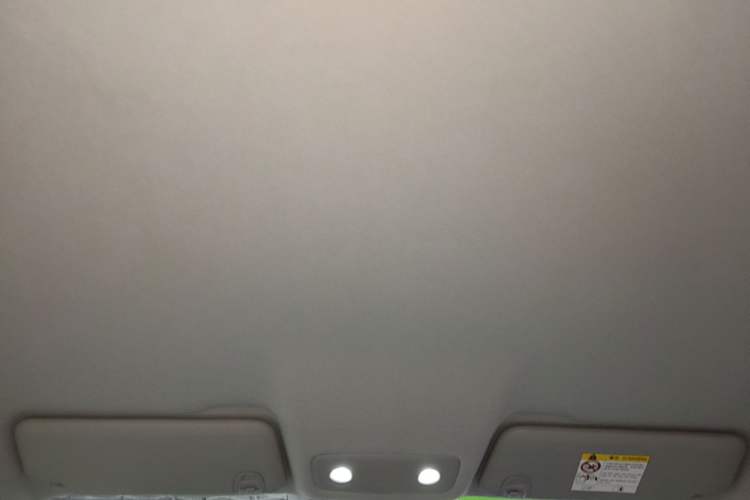 Used Leapmotor T03 2024 403 Comfort Edition Headliner