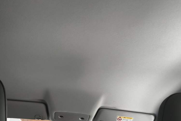Used Leapmotor T03 2024 403 Comfort Edition Headliner