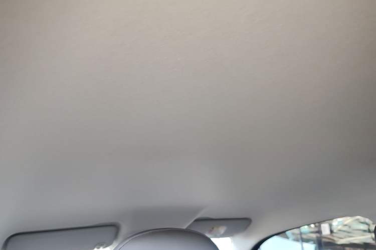 Used Leapmotor T03 2024 403 Comfort Edition Headliner