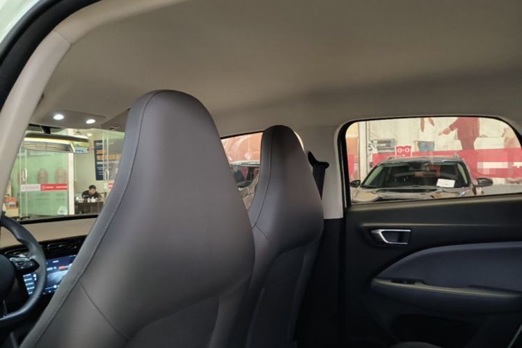 Used Leapmotor T03 2024 403 Comfort Edition Headliner