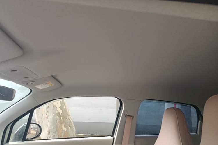 Used Leapmotor T03 2024 310 Comfort Edition Headliner