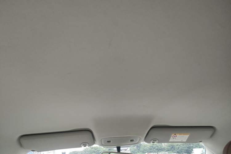 Used Leapmotor T03 2024 310 Comfort Edition Headliner