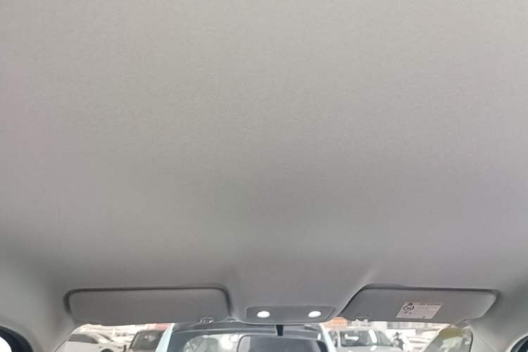 Used Leapmotor T03 2024 403 Comfort Edition Headliner