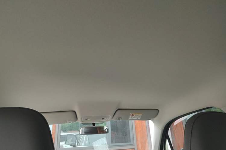 Used Leapmotor T03 2024 403 Comfort Edition Headliner