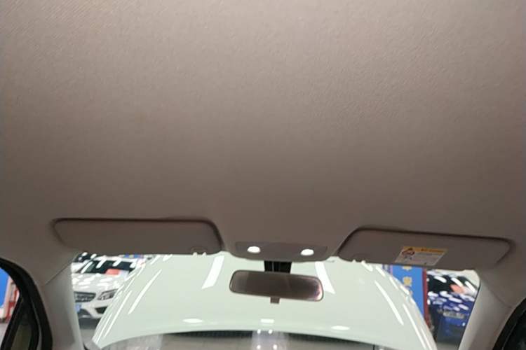 Used Leapmotor T03 2024 403 Comfort Edition Headliner