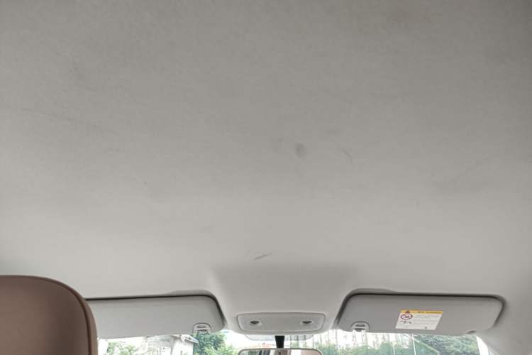 Used Leapmotor T03 2024 403 Comfort Edition Headliner