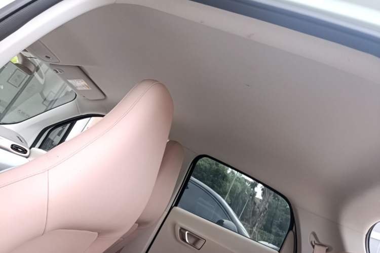 Used Leapmotor T03 2024 310 Comfort Edition Headliner