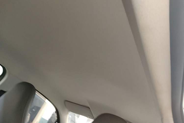 Used Leapmotor T03 2024 403 Comfort Edition Headliner