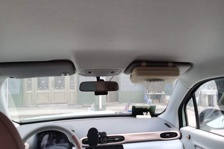 Used Leapmotor T03 2024 310 Comfort Edition Headliner