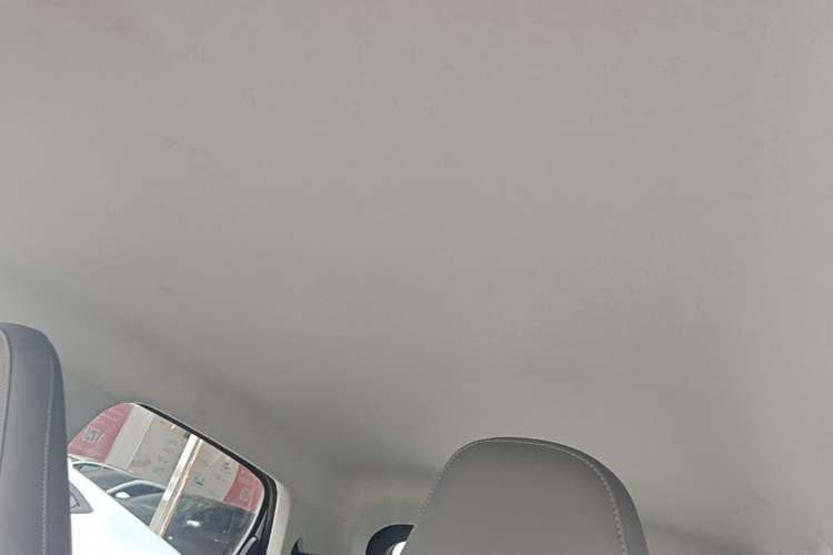 Used Leapmotor T03 2024 403 Comfort Edition Headliner