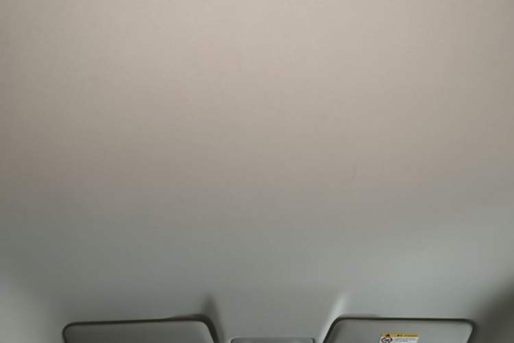 Used Leapmotor T03 2024 403 Comfort Edition Headliner