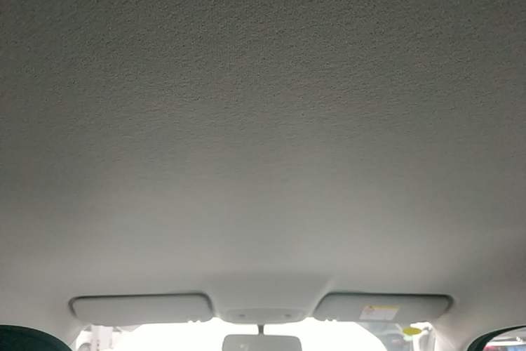 Used Leapmotor T03 2024 403 Comfort Edition Headliner