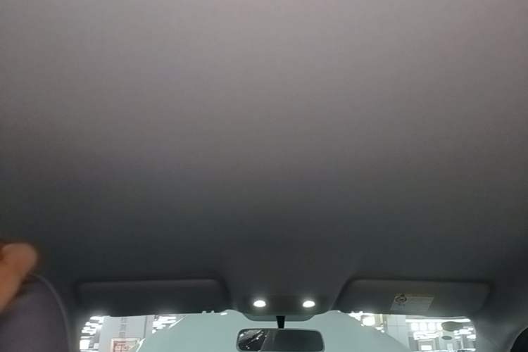 Used Leapmotor T03 2024 403 Comfort Edition Headliner