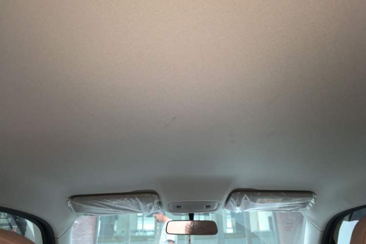 Used Leapmotor T03 2024 310 Comfort Edition Headliner