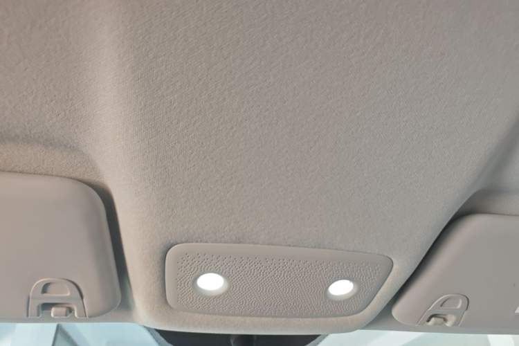 Used Leapmotor T03 2024 200 Lite Edition Headliner